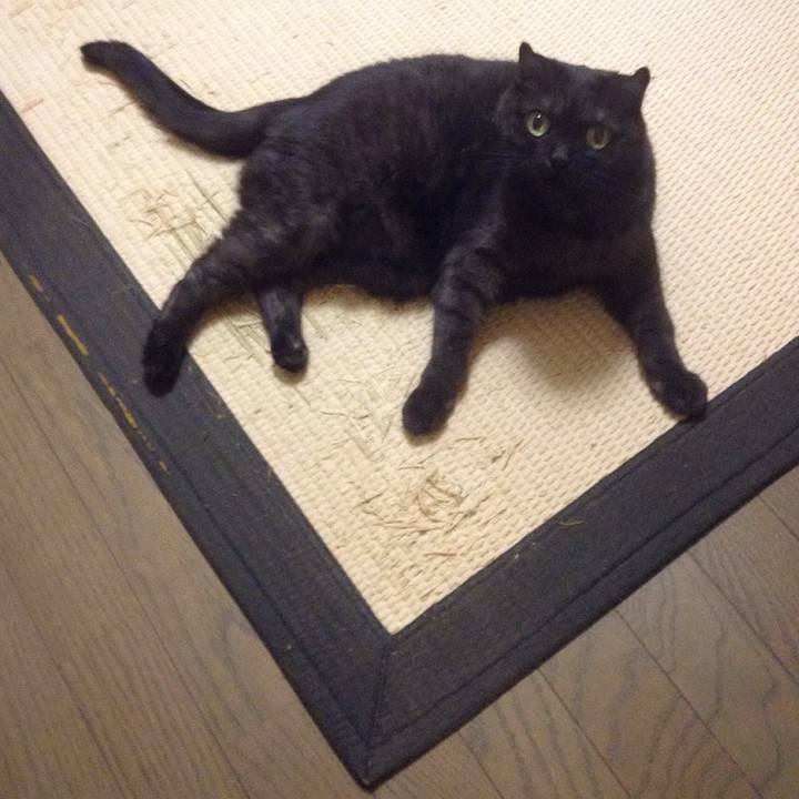 12da02f5 d03e 48f5 8ad4 bb29825b75bb