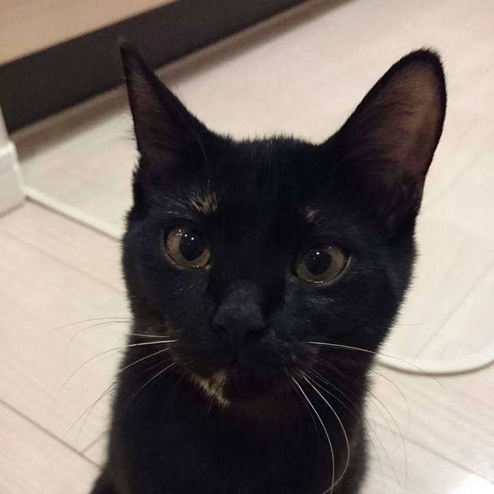 12da4255 e344 49f4 b5e2 2c68185be337