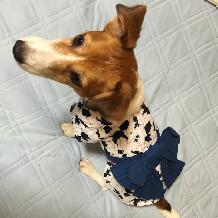 12da810d ff59 4a44 bc47 2f208e2e261d