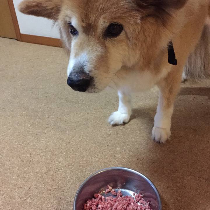 12da93f1 8a24 4b40 97a6 ae64d8b37eff