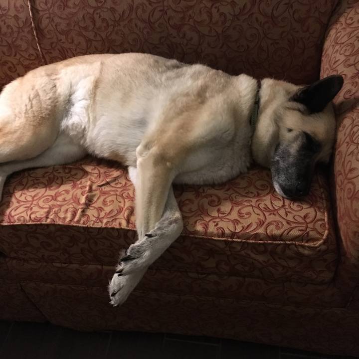 12db090a 9e0d 4bb1 946c af67c9918765