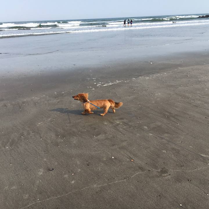 12dc367d de5f 4c4e 80f8 94c6af614266