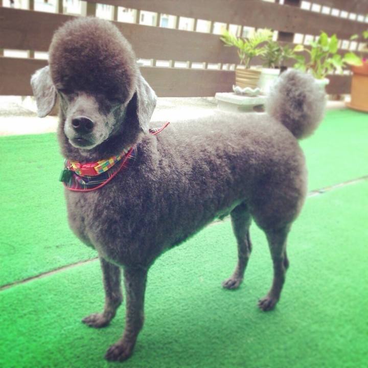 12dc6915 c555 44f0 ac05 a331c1d4b3eb