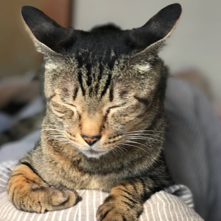 12de6ac3 c37b 4755 9137 295a52e5a613