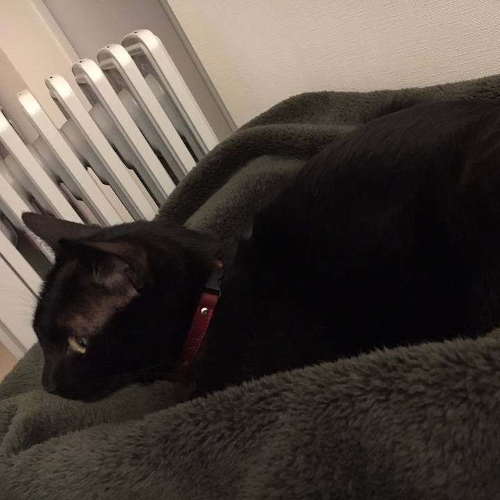 12dec87d 83bf 4213 8fb0 a0ad8d0764bd