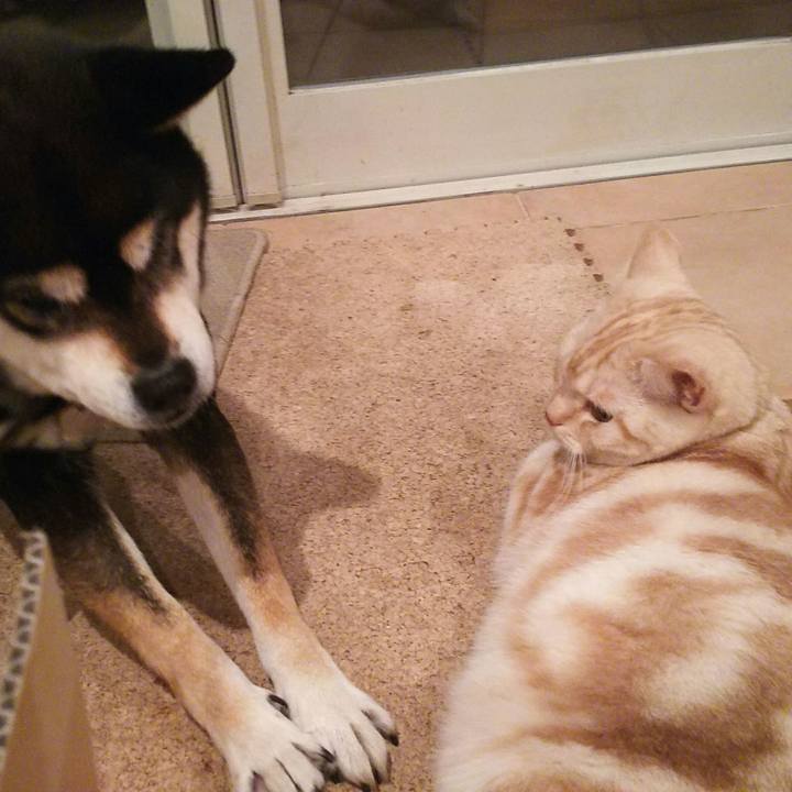 12ded502 8b16 45df 8d76 1d078bdc03fb