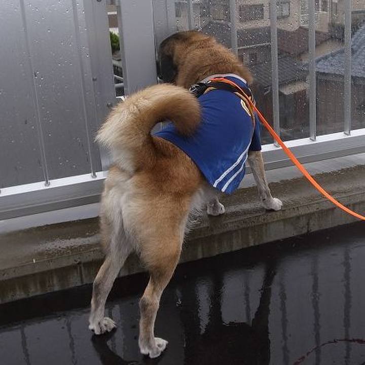 12deec65 745c 4b53 b447 3a6347b6ca43