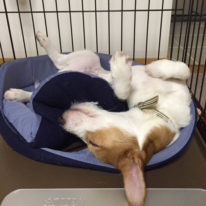 12df20ee c955 467b 8763 d99a742e0465