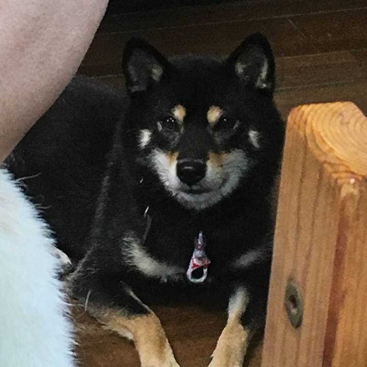 12df3274 3e7a 4c5f a9a8 ccc7dbdc5f4c