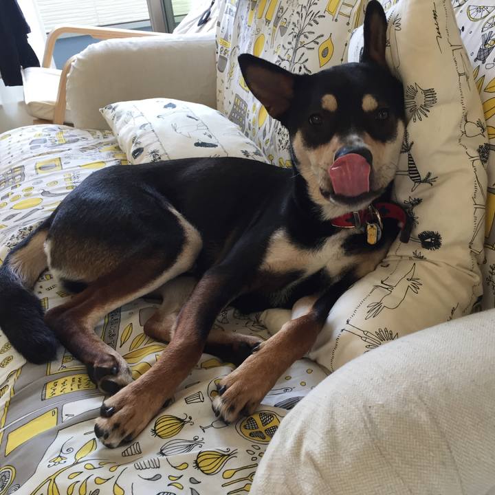 12dfca71 9a33 47ec 8766 b598cdcbb92e