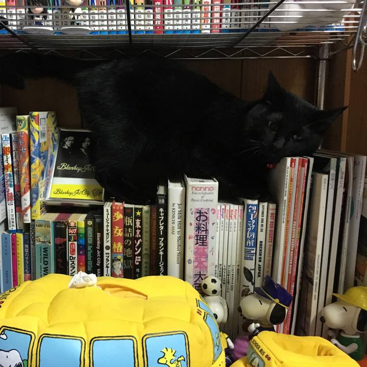 12dfda97 0314 4aed 9839 e6a822220454