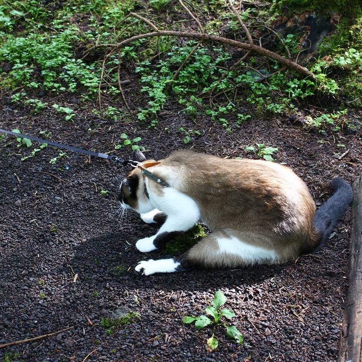 12e0299c fda7 4aa2 8204 2eeb463a73bb