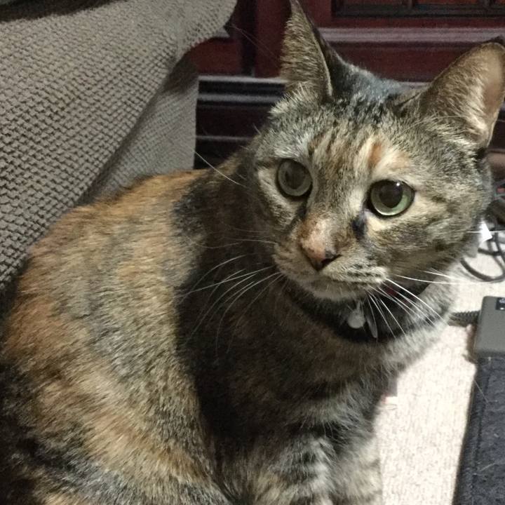 12e03d51 ba44 4862 aff9 f6335266a677