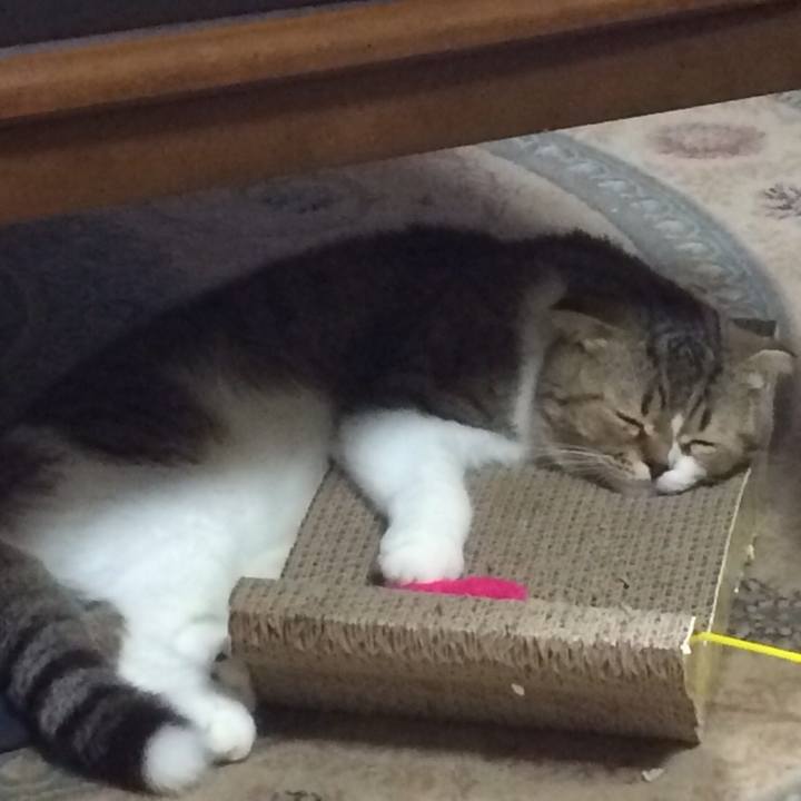 12e05006 5255 4630 b51f a06eb2a09146