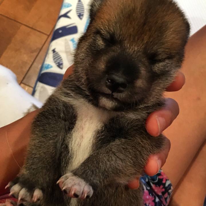 12e07345 05fc 4ca0 8bfe aed4cac14b0e