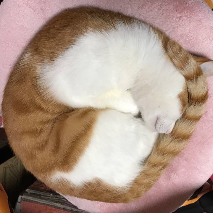 12e0ebd5 ac47 4481 905d f28d22202509