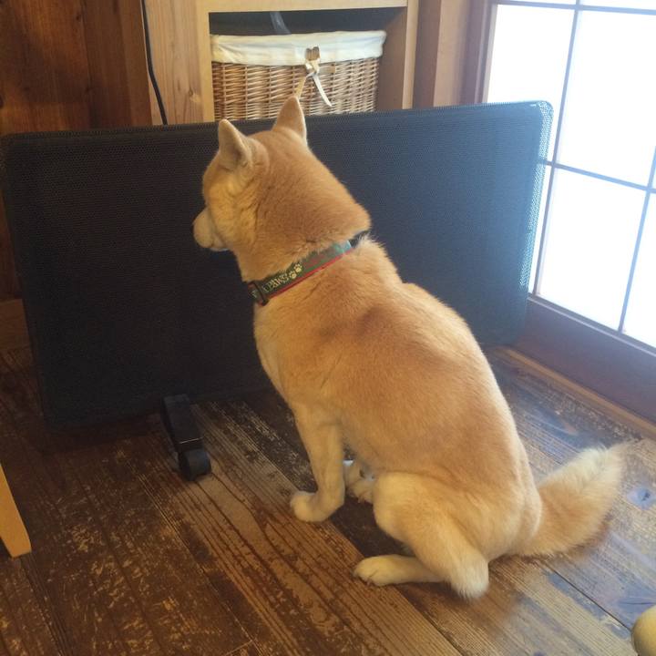 12e0f683 cdde 43ac 937f 5c0f0b88ad04