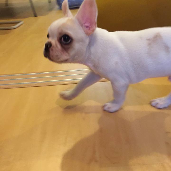 12e12c8e cb92 450c a778 b064702dd850