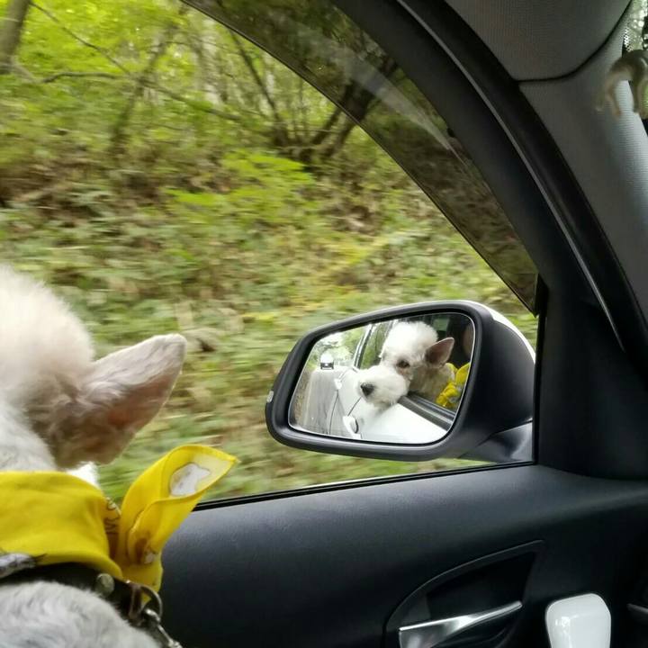 12e17122 1f0d 430c 8c08 1f9f77ef20eb