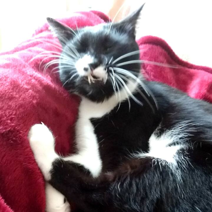 12e1d210 24f1 47c8 8949 4e4001c65d9b