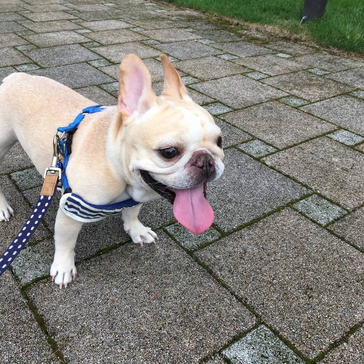 12e27f7b abfa 4e4e 83b7 f65c6662dba7