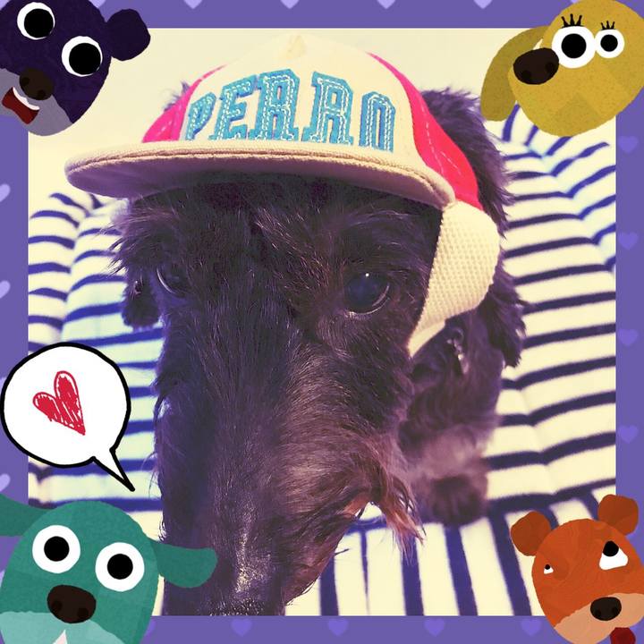 12e2cc87 af7a 46a8 b42c 63eb22f4cffc