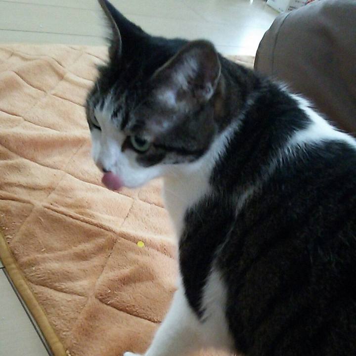 12e2e30c e1a5 4e54 9345 54d8c7e1904c