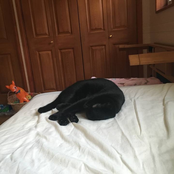 12e2e7b5 eb95 4915 b861 6e82235d8d16