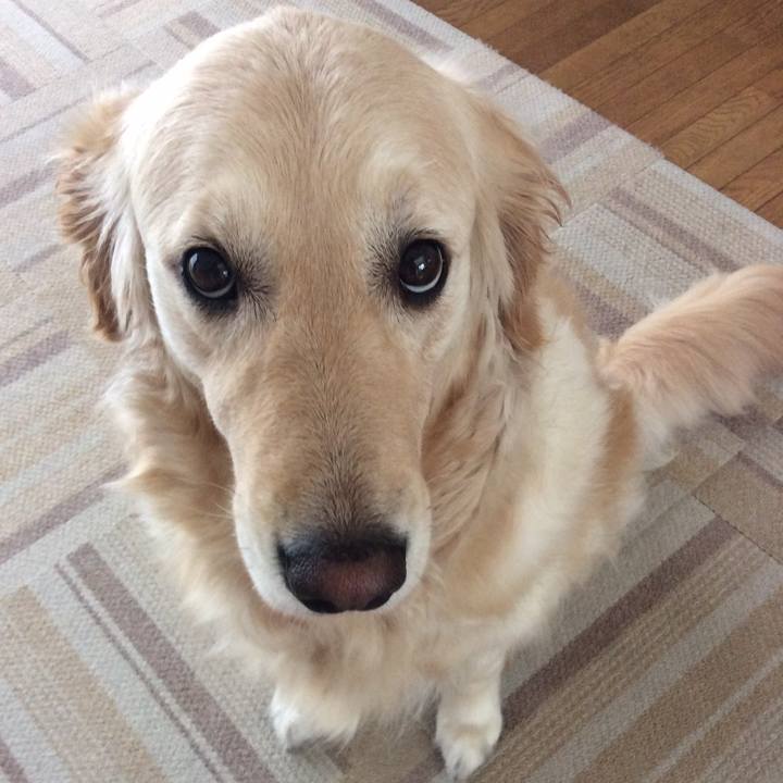 12e34ca6 9a10 4410 93d8 bb6968c68cf1