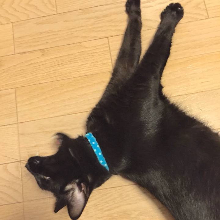 12e361c2 52b6 4fbd a3d7 916fe4dd7ac8