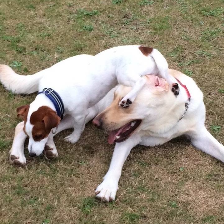 12e4160c 42df 42db 9a04 096034a95d53