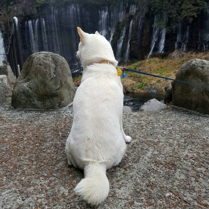 12e44bb1 1447 48ef 9d8c 213a4c904bb9