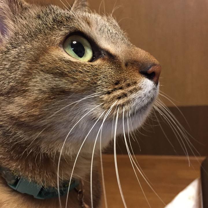 12e47d49 6255 4226 9044 f64ed0d2f785