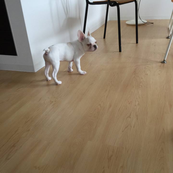 12e597a2 3b58 42ab b6be fe89cd3b1f48