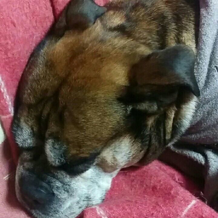 12e5a058 724d 4f0a a112 93b3c41d7736