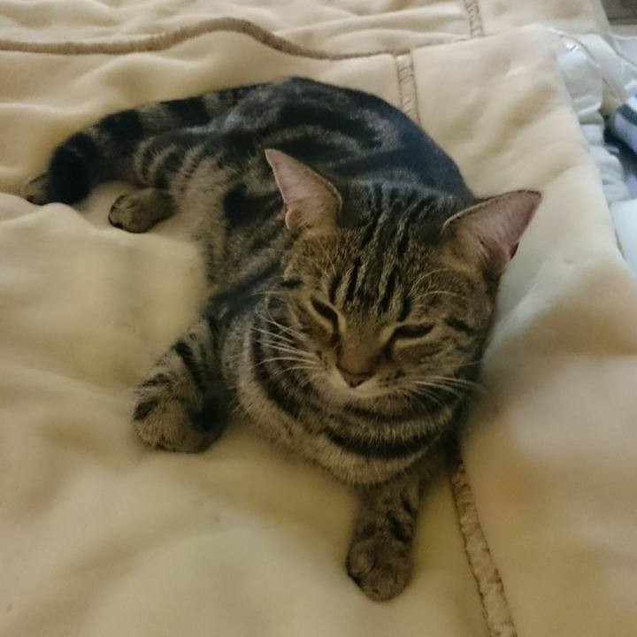 12e61cc3 634d 455a b401 14c228474ac5