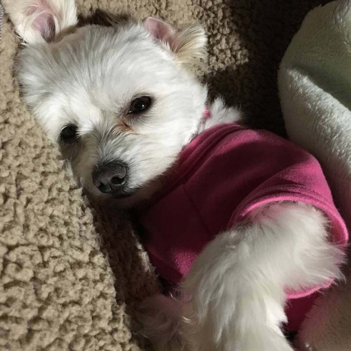 12e6a5fe 1d87 4871 a854 bc9c3a05be7e