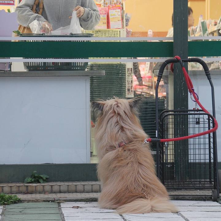 12e78fb0 d280 4ce7 9f3f c4575bbc3c90