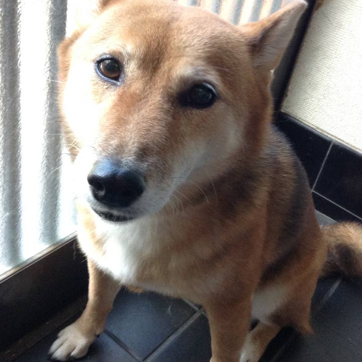 12e8055a 3f78 4e6f a8ae 1df824ac6c50