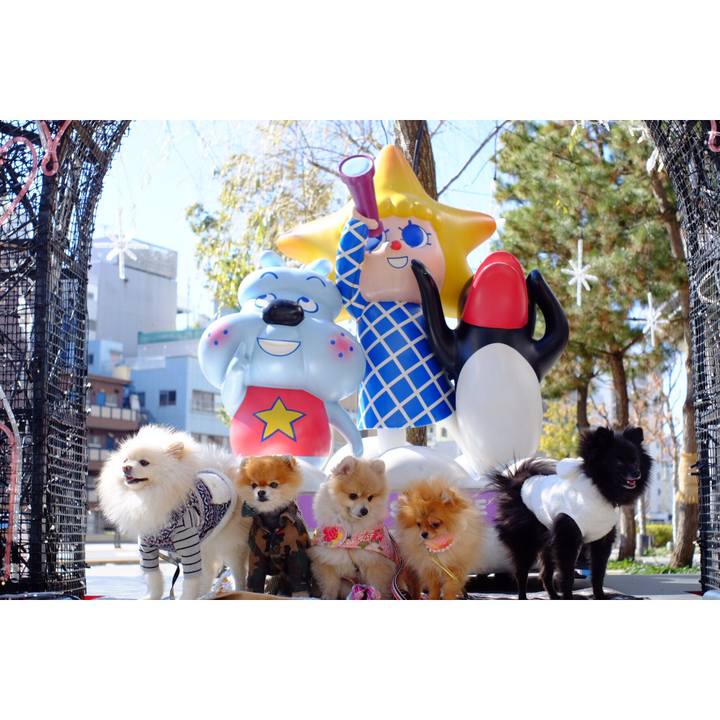 12e810b1 9755 4de5 8e18 0cad37cc9e03