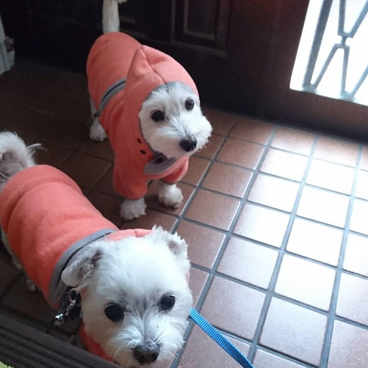 12eb7d2a e6cf 48d9 b14e 02719d8ac017