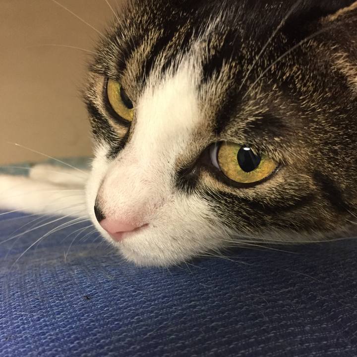 12ec6bdb 6904 4dfd 9ec3 b60889d49bbd