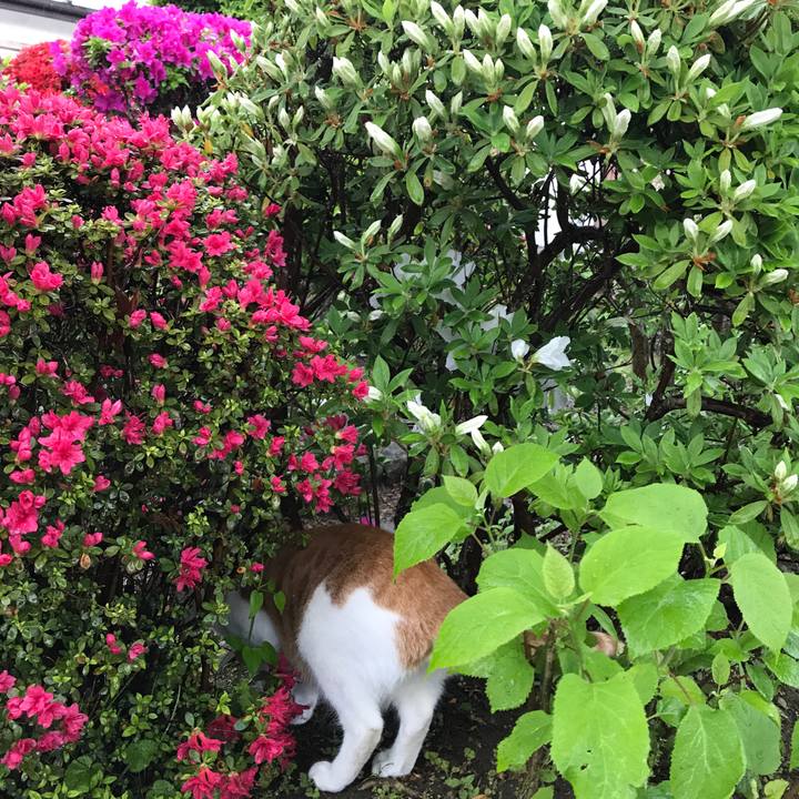 12ec8628 2598 4997 8ee5 595059910d43