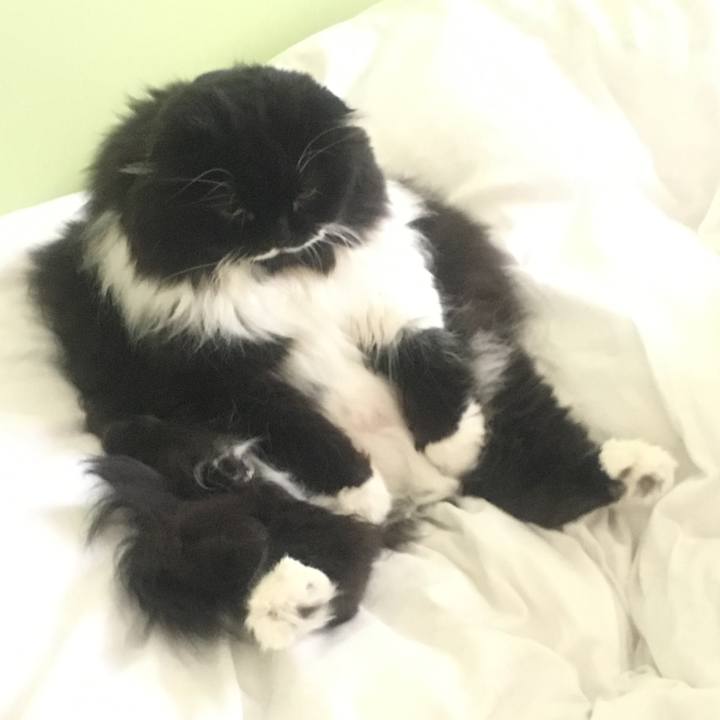 12ee4541 ced8 44a2 9781 80450a70a61f