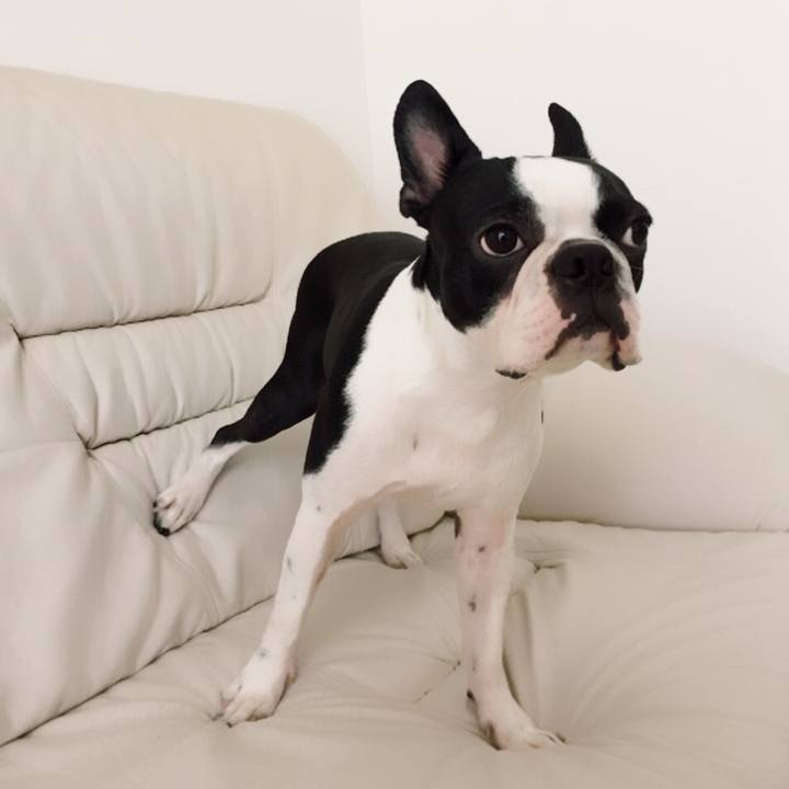 12ef9b36 bdac 40ac a680 cce4d1fe8cb3