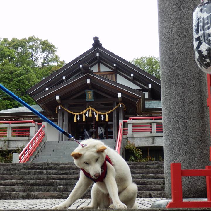 12efcadd d2d7 4d13 8e1d 0767f4da9f08