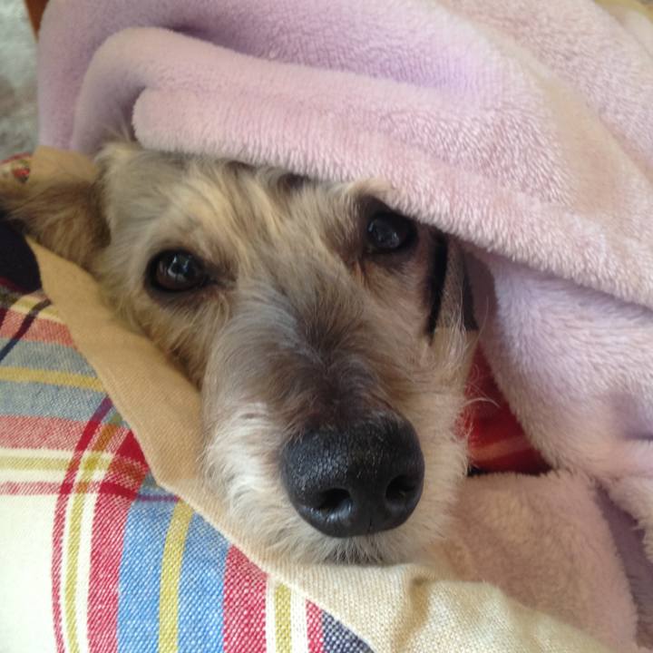 12f02271 3790 473e b4d4 144e745ab8b7