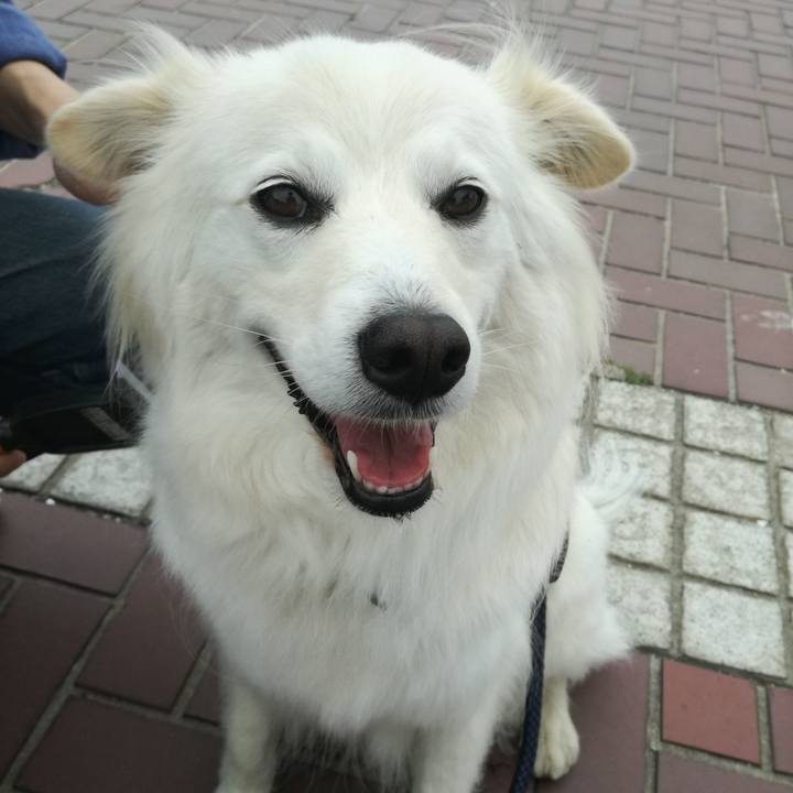 12f046f4 1a17 4e94 9a9a d9c283abfe29