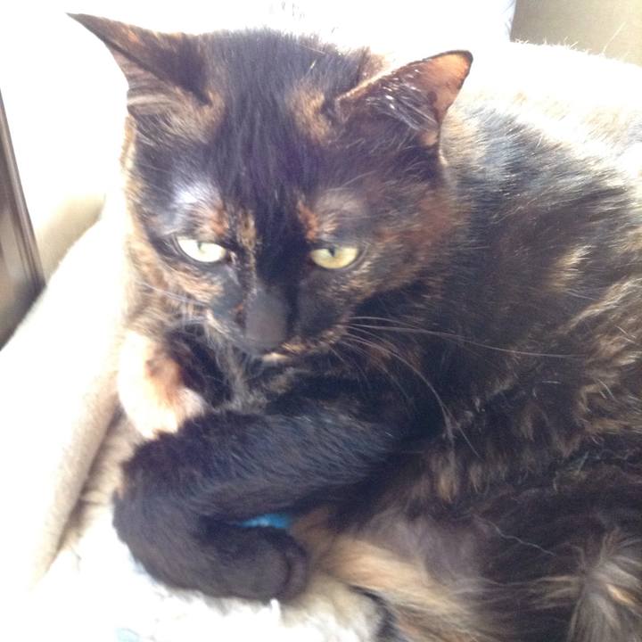 12f08bee ff2c 47f8 8a6f 8e0b3760f451