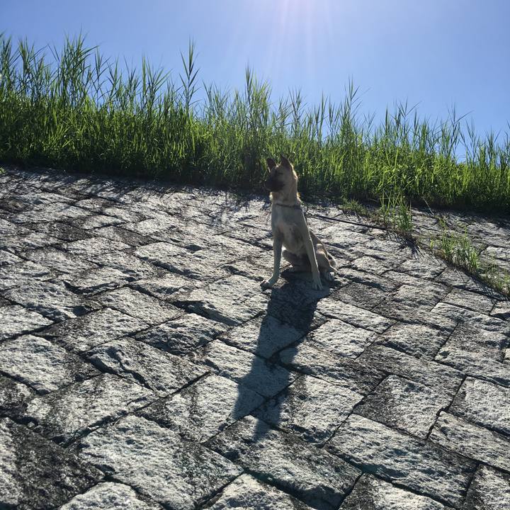 12f09c5c 45ef 4676 9a56 97a2e4edd892